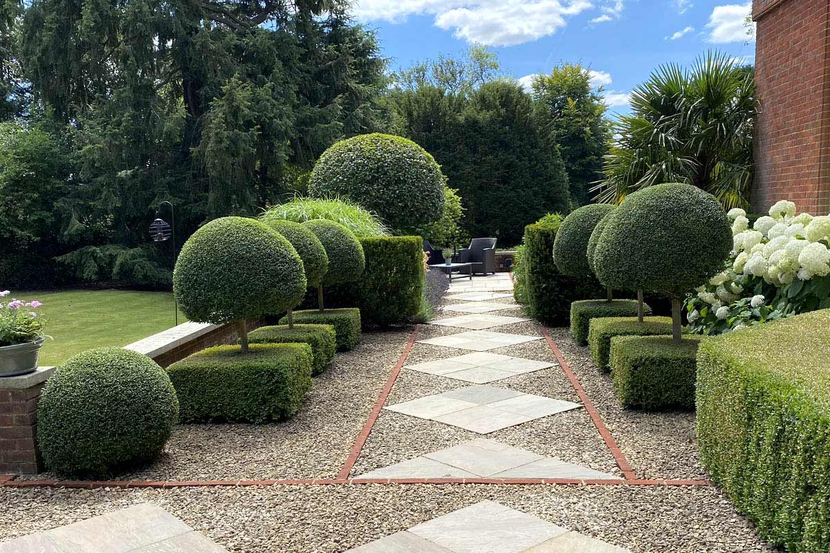 Clifton Case Study - Surrey Hills Garden